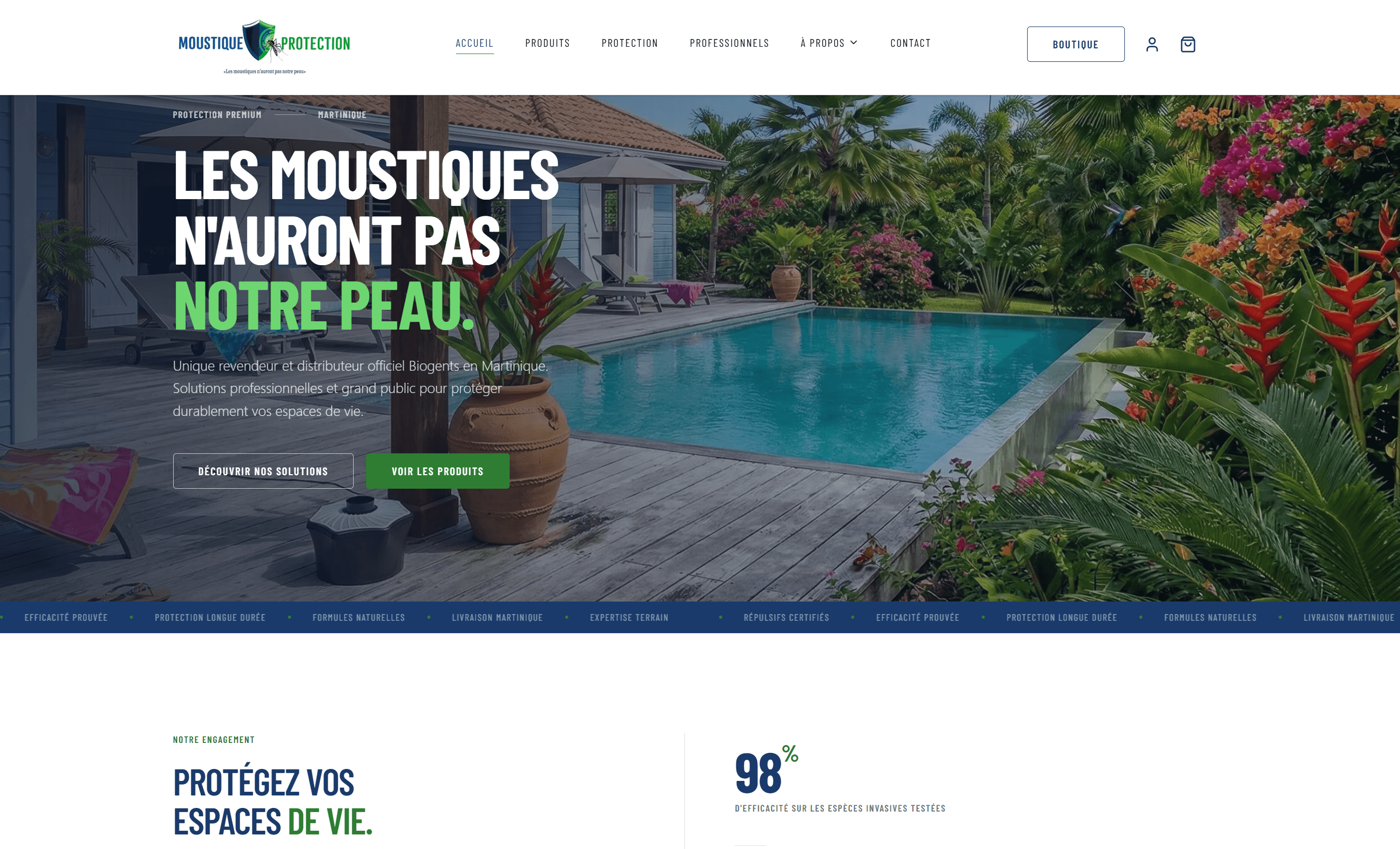Interface de Moustique Protection, en production